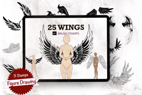 Download Wings,Figure Drawing,Procreate Stamps - Premium Resources